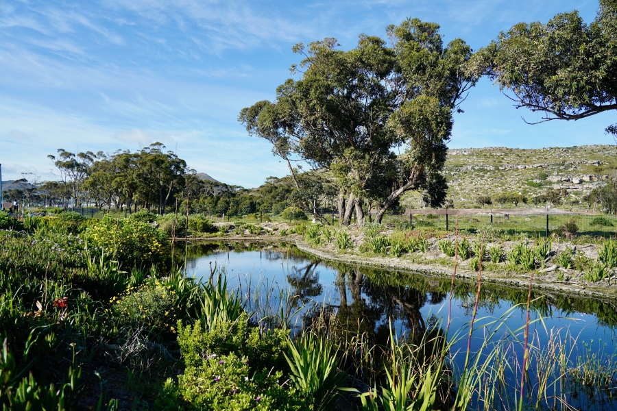 0 Bedroom Property for Sale in Kommetjie Western Cape